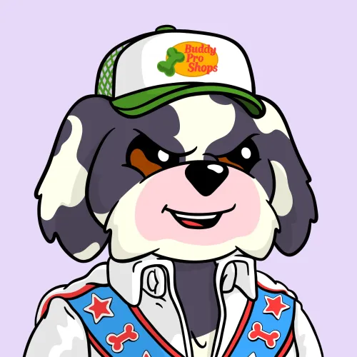 BoDoggos #2481