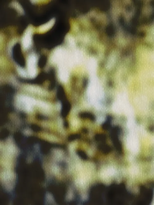 SpectrumGlow#52