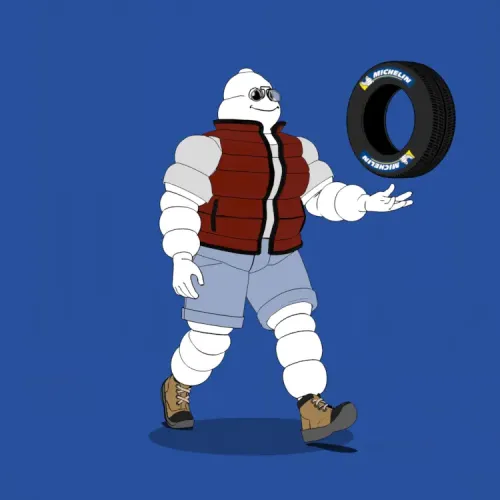 Michelin 3xplorer #1220