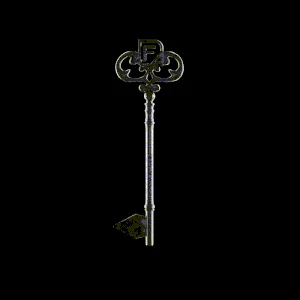 DFA Key ＃859
