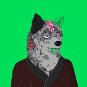Mutant Shiba #6044