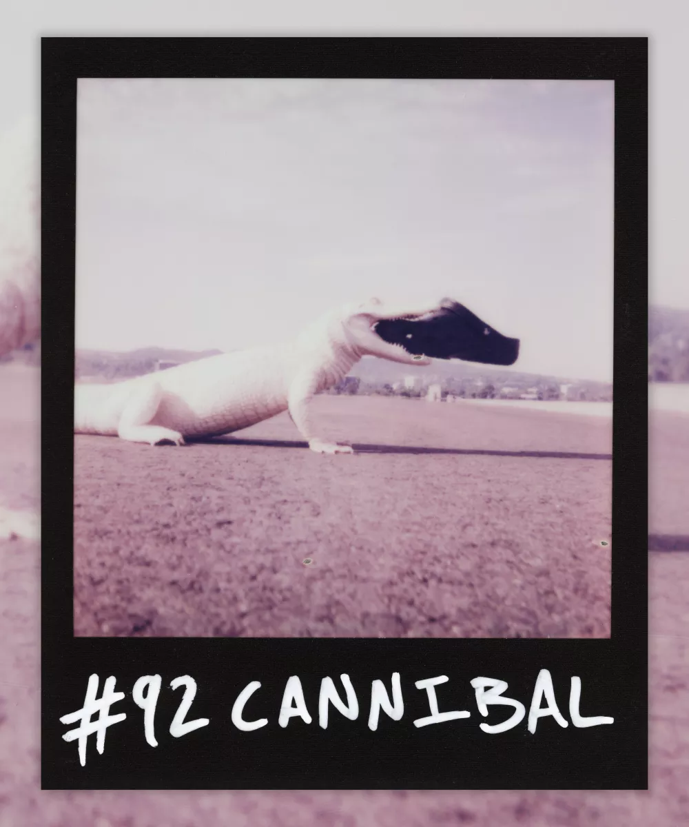  #92