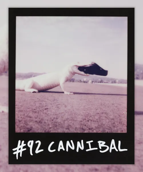 #92