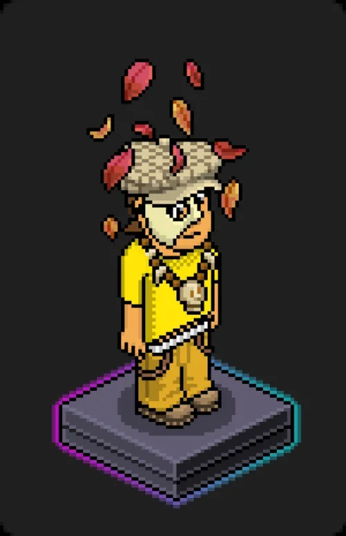 Habbo Crafted Avatar #891