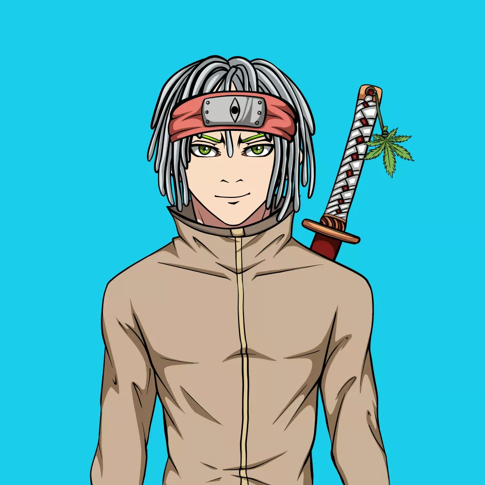 Ninja  #3087