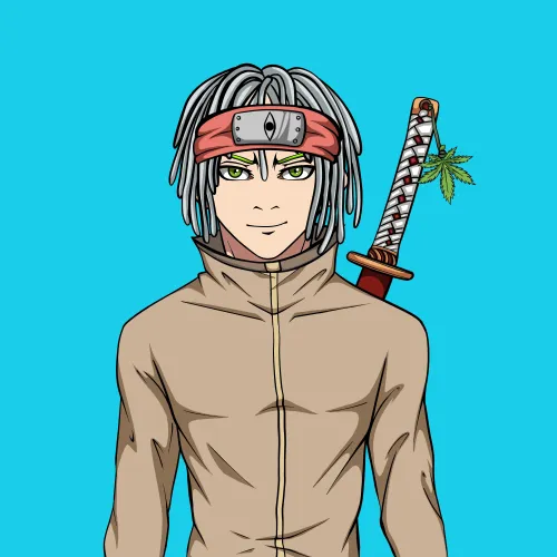 Ninja  #3087