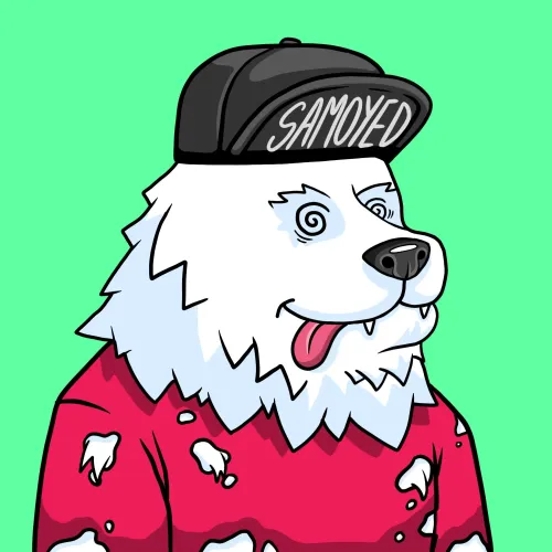 SAMOYED #10