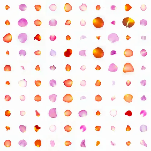 Infinite Petals 10x10#10012