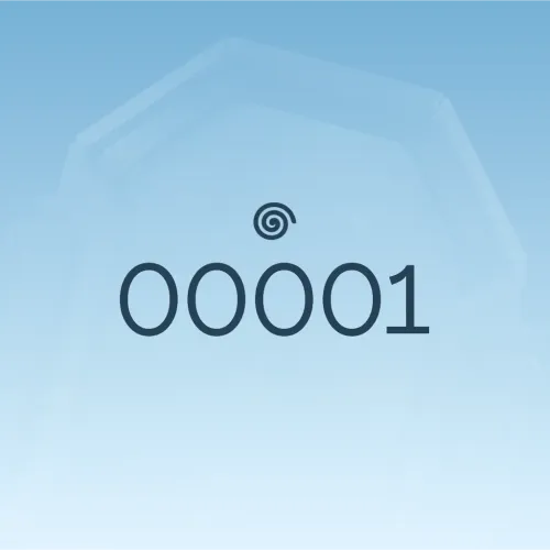 00001