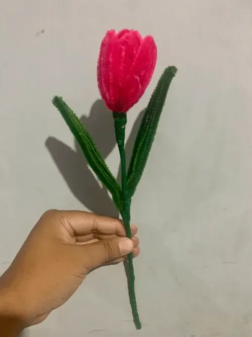 WFT #3