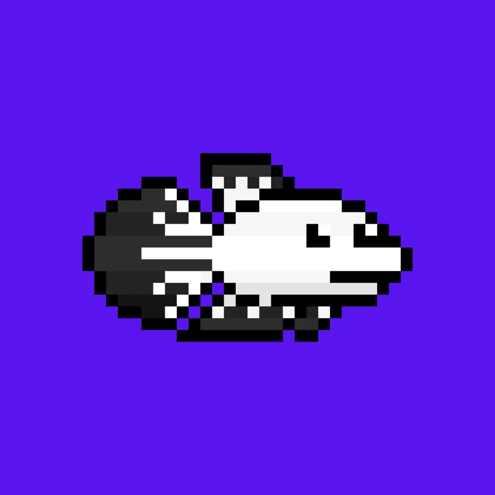 CryptoFish #937