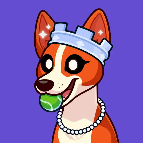 Basenji #2378