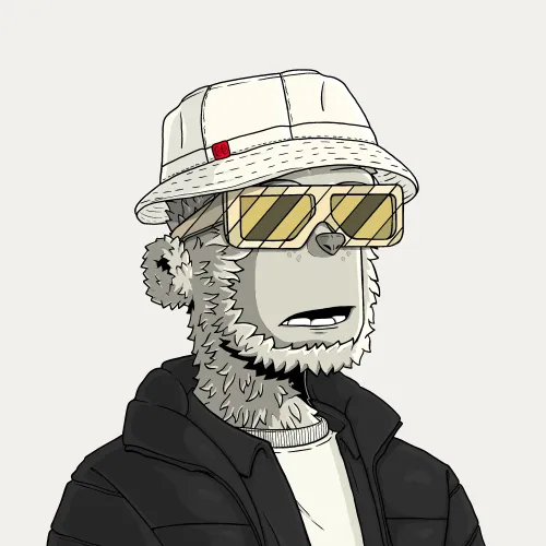 y00t #824