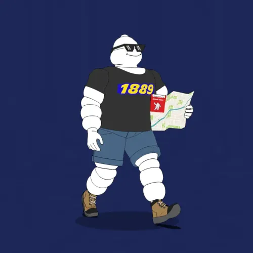 Michelin 3xplorer #2204