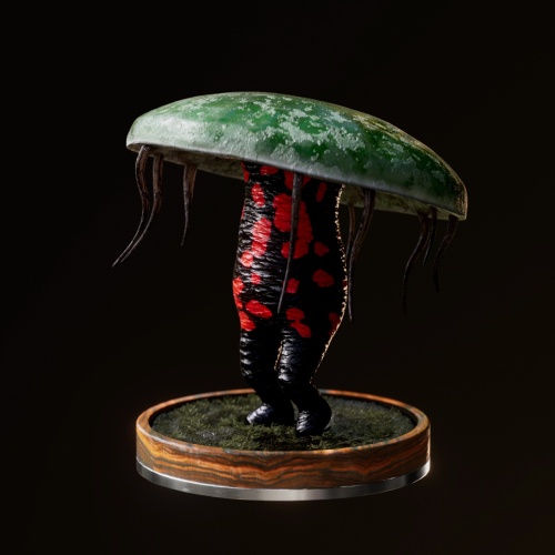 Fungi #33