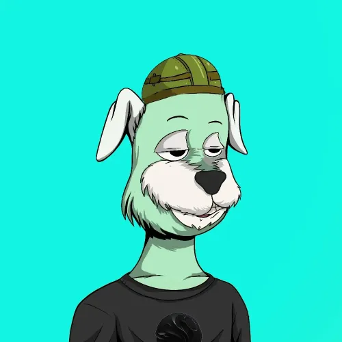 SBONK #162