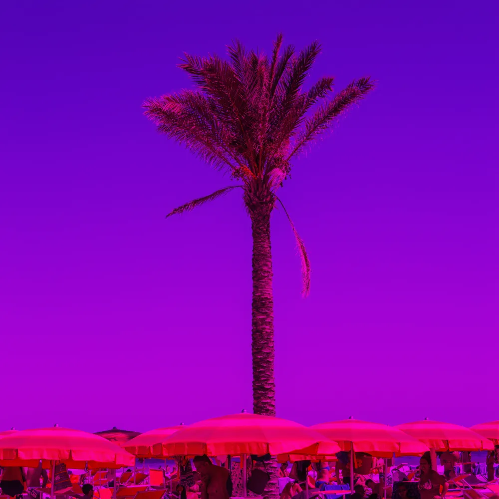 Meet Me At The Palm #4