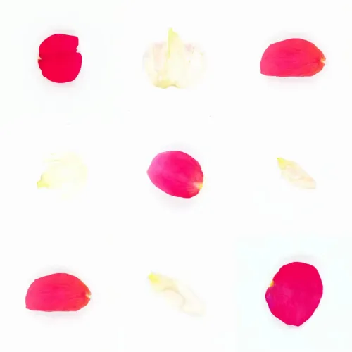 Infinite Petals 3x3#710