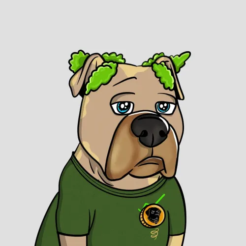 Vito #805