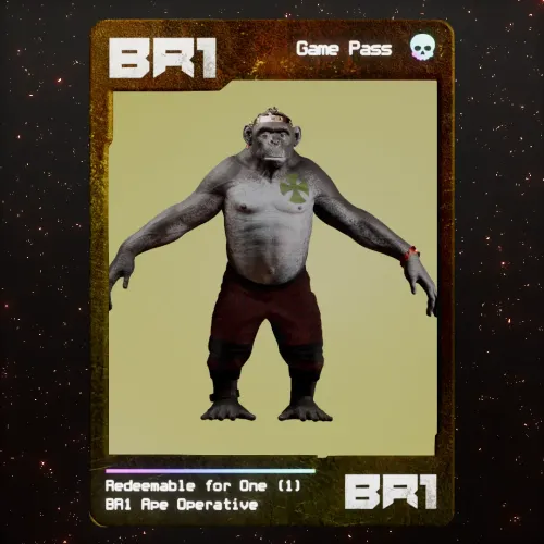 BR1 Character #884