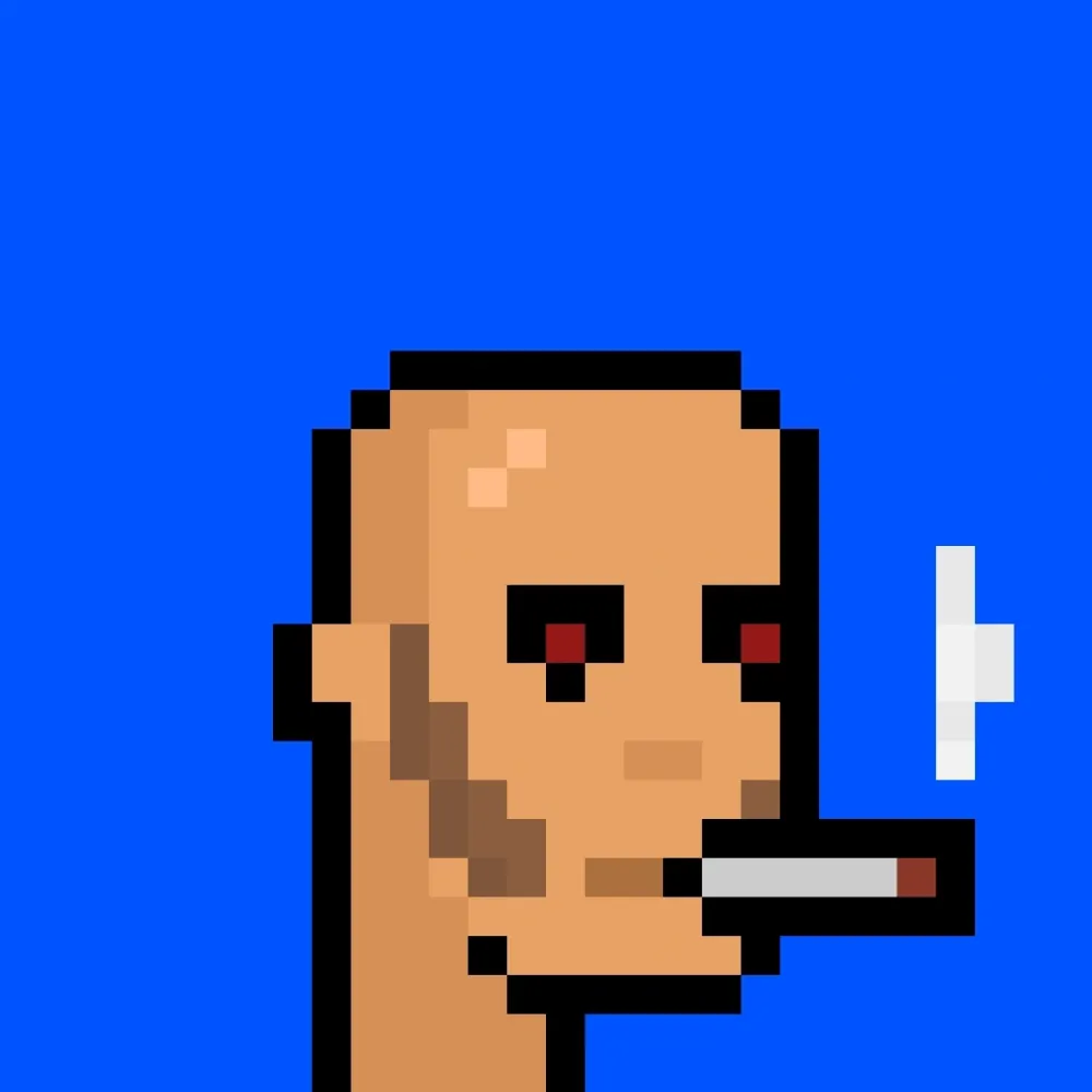 888xPunks #127