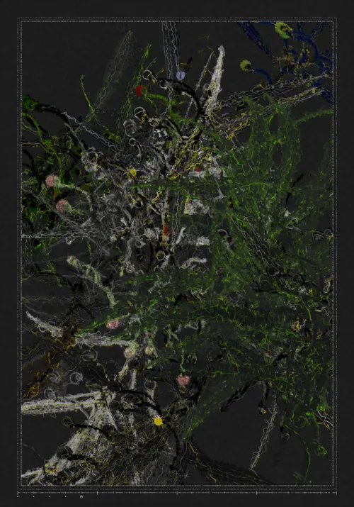 Polypaths | 植徑集 #227