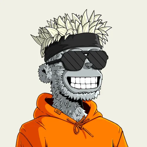 y00t #12145