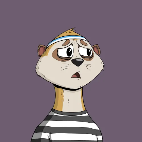 Worried Meerkat #267