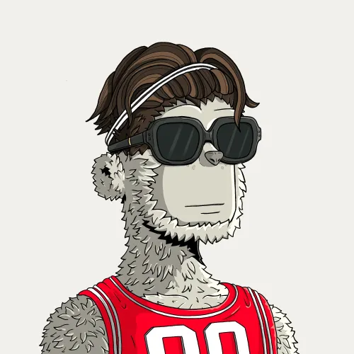 y00t #13396