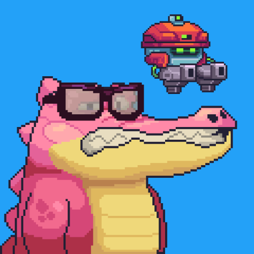 Croc #5541