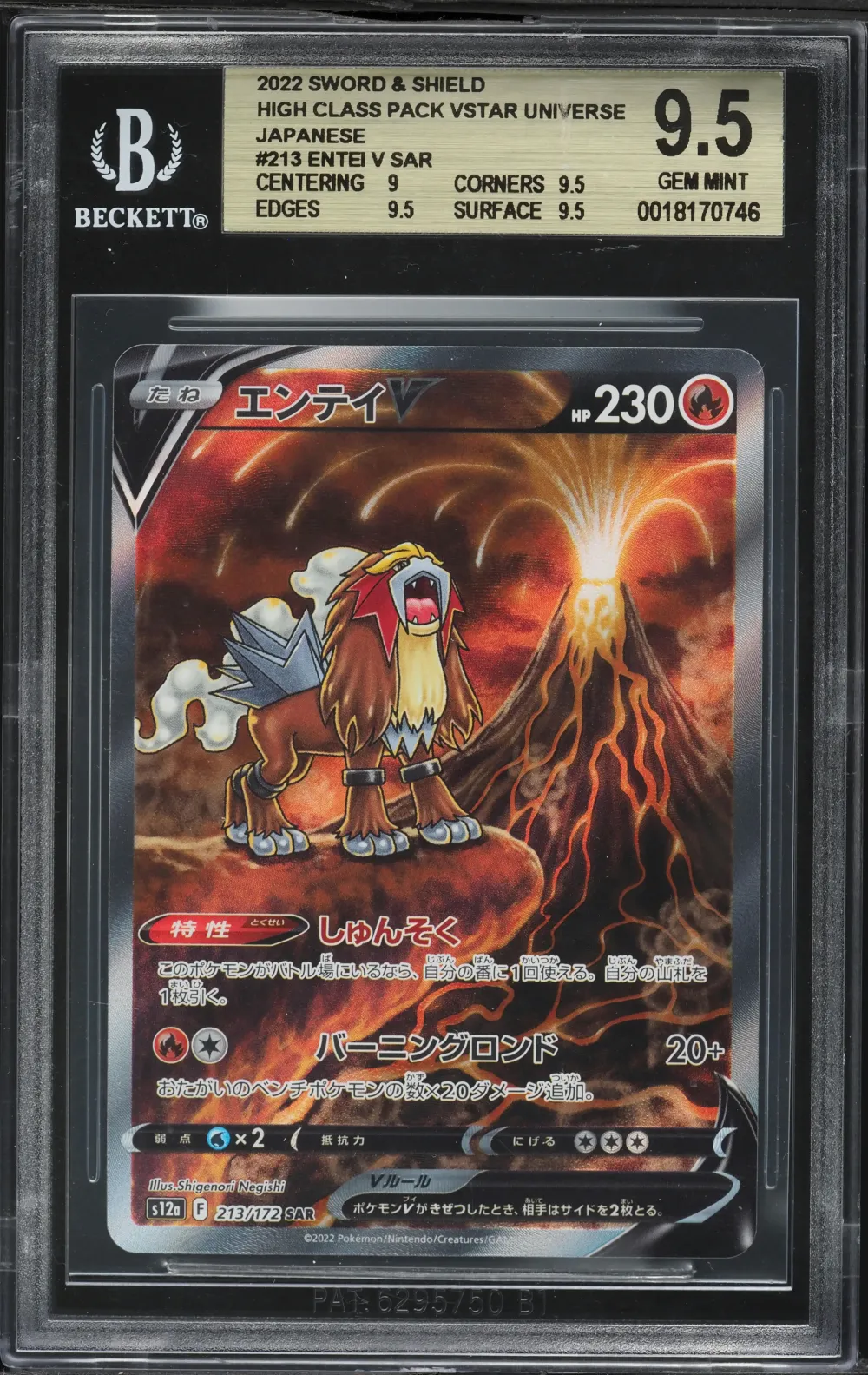 2022 #213 Full Art/Entei V BGS 9