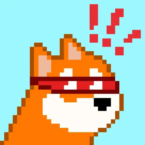 BONK on SOL #1352