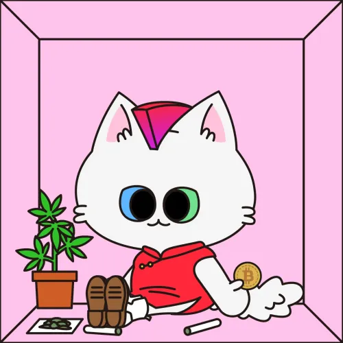 MurMur Cat #629