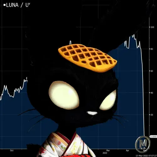 BUNNZ #4808