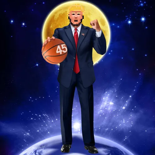 Trump Digital Trading Card #19667