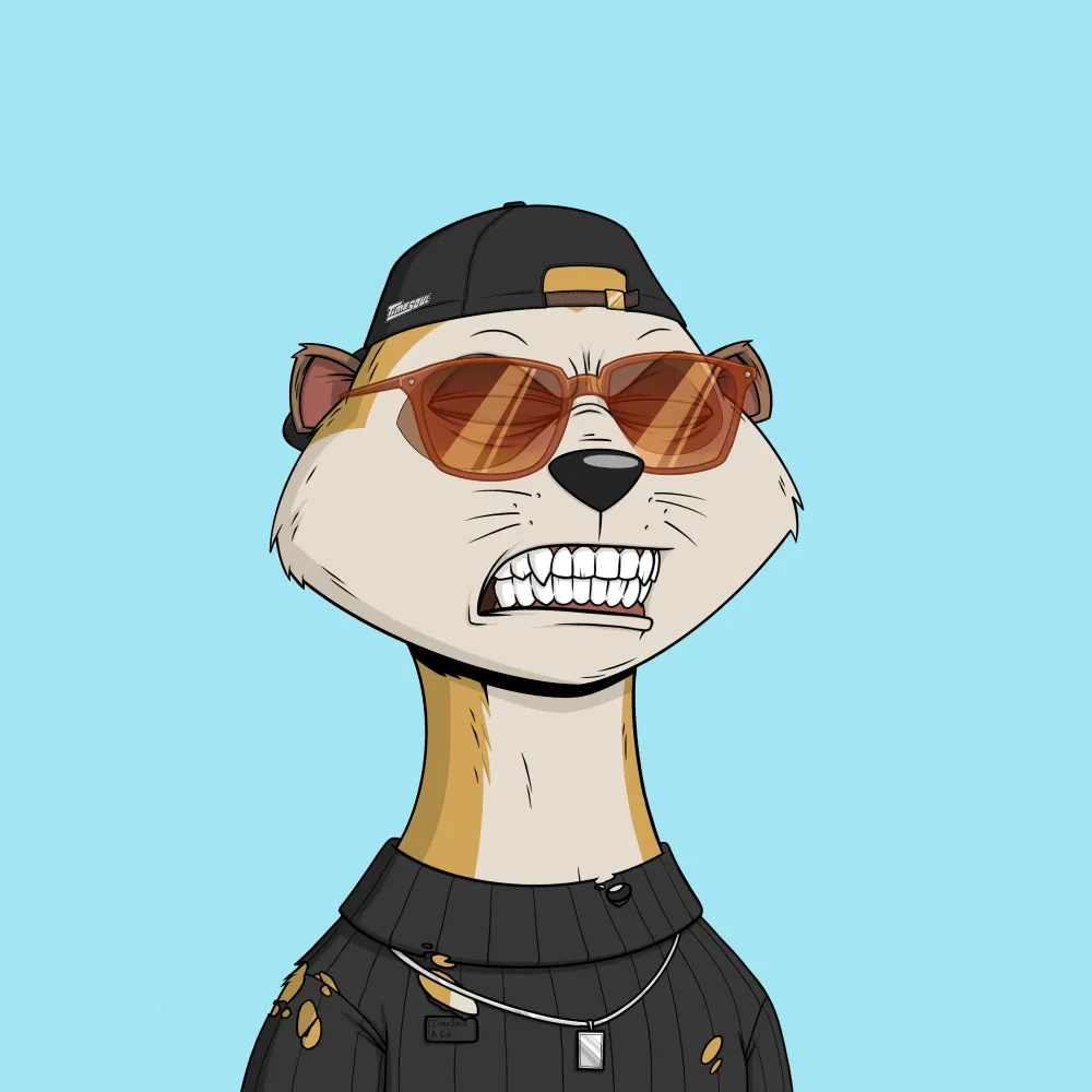 Worried Meerkat #1155