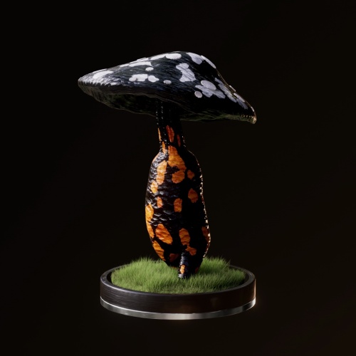 Fungi #9311
