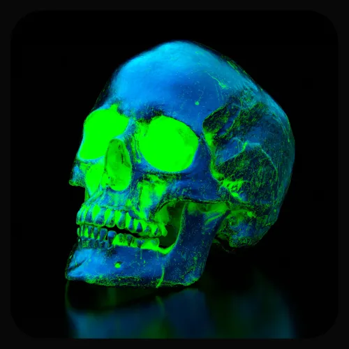 THE FIFTH SKULL #2548