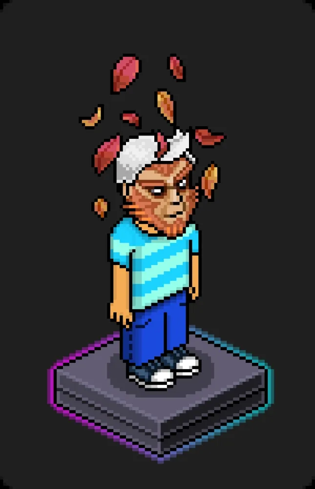 Habbo Crafted Avatar #1316