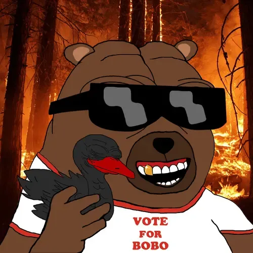 Bobo Council #437