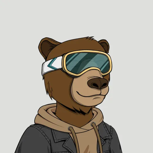 Okay Bear #8896
