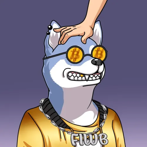 SOLDOGE #56