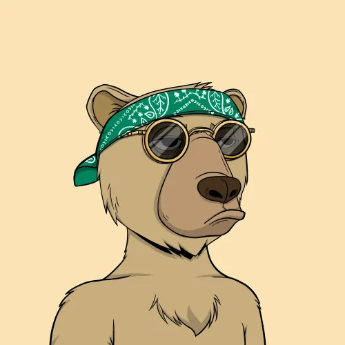 Okay Bear #5072