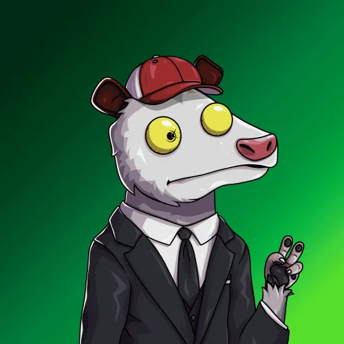 WTF Opossum #355