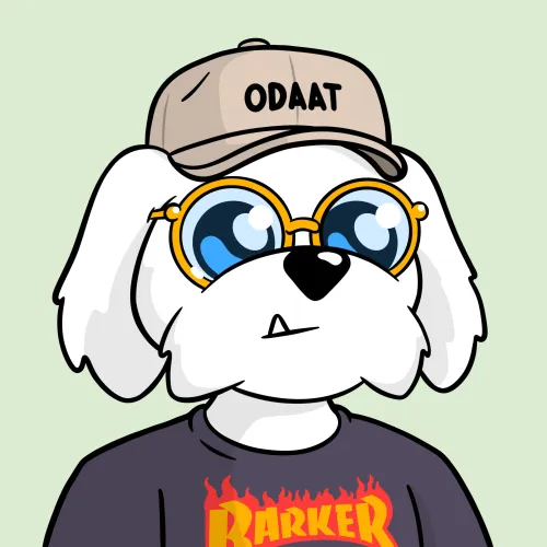 BoDoggos #8717