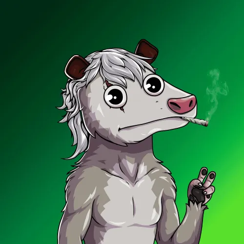 WTF Opossum #74
