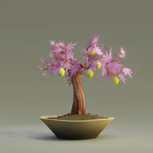 Bonsai #6203