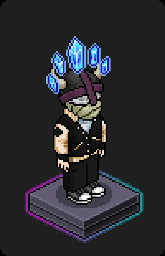 Habbo Crafted Avatar #1301