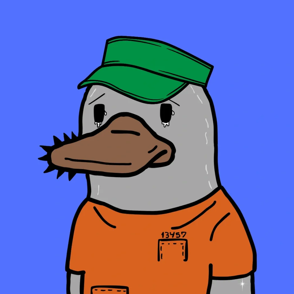 Perrys #38
