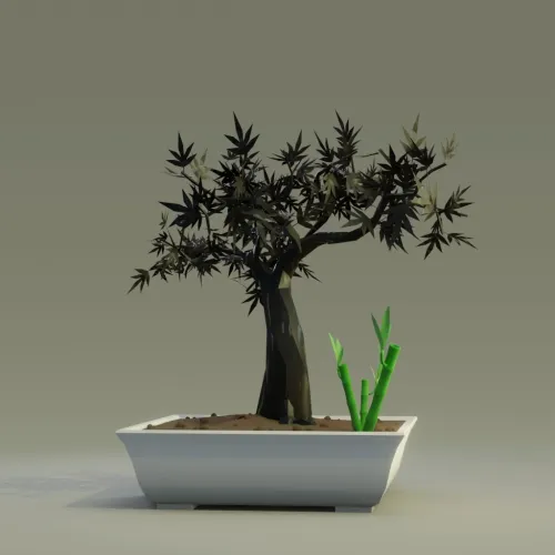 Bonsai #4199